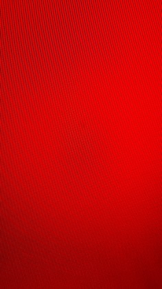 20251108_155604.jpg (1015.11 КБ) Просмотров: 903 20251108_155604.jpg