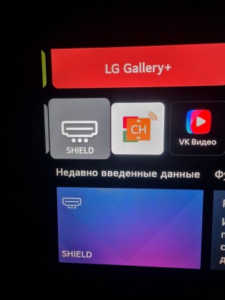 Вход шиелд.jpg