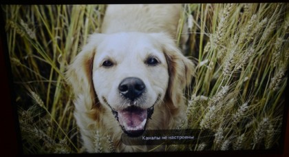 LG 43UH671V review_30.jpg (272.21 КБ) Просмотров: 18942 LG 43UH671V review_30.jpg