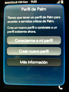 perfil de palm.jpg