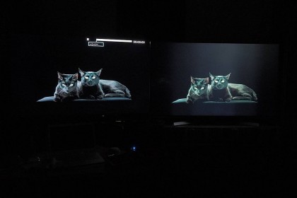 LG 55SJ810V Ips Contrast.jpg