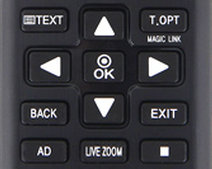 Magic Link Live Zoom Buttons.jpg