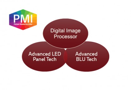 PMI Picture Mastering Index.jpg