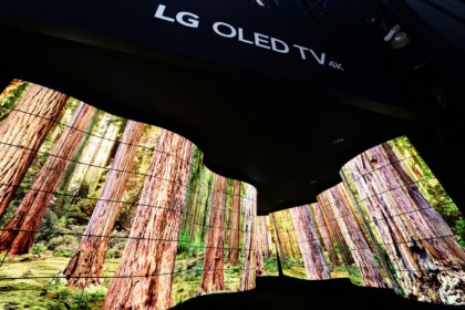 LG OLED Canyon CES 2018.jpg