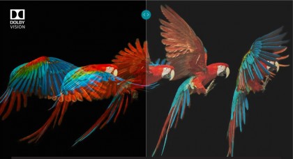 dolby-vision-problem-schwarzwert.jpg (74.11 КБ) Просмотров: 5107 dolby-vision-problem-schwarzwert.jpg