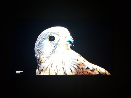 LG 50UK6510 vs 49UJ670V 05.jpg (165.51 КБ) Просмотров: 6376 LG 50UK6510 vs 49UJ670V 05.jpg