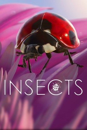 insects-xbox-one-x-enhanced.jpg