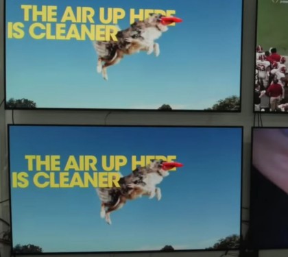 OLED burn-in test 09.jpg (60.68 КБ) Просмотров: 6474 OLED burn-in test 09.jpg