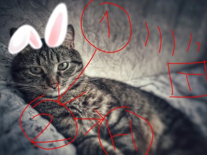 IMG_20190101_174834.jpg (985.34 КБ) Просмотров: 5315 IMG_20190101_174834.jpg